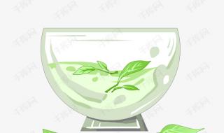 绿茶本茶网络用语是什么意思 什么茶属于绿茶